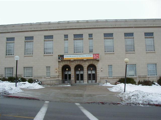 museum6