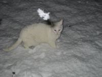 IMG_5840.JPG