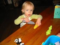 IMG_5894.JPG