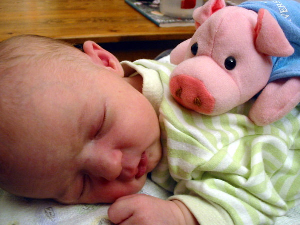 piggy.jpg